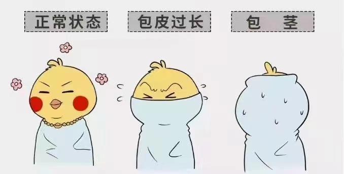 齐齐哈尔包皮包茎乐动体育·（中国）体育官方网站